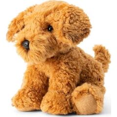 Pies Cockapoo