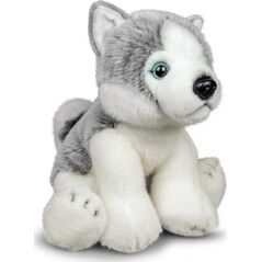 Pluszowy Husky