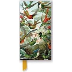 Notatnik linia TW Kolibry Ernst Haeckel