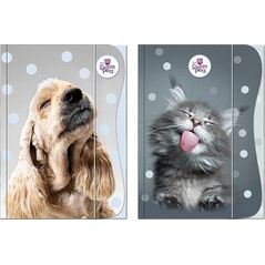 Teczka z gumką A4 The Sweet Pets