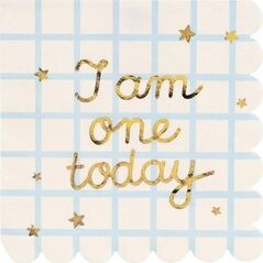 Serwetki papierowe I am one today 33x33cm