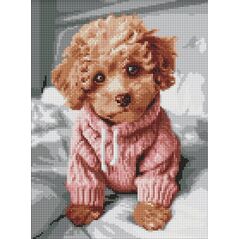 Norimpex Diamentowa mozaika - Magiczny Maltipoo 30x40cm