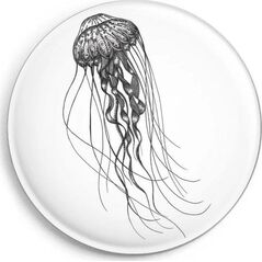 Magnes Meduza