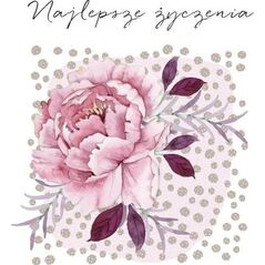 Karnet Swarovski kwadrat CL4504_PO Najlepsze życze