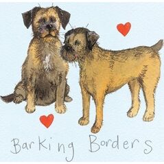 Magnes FM11 Border terrier