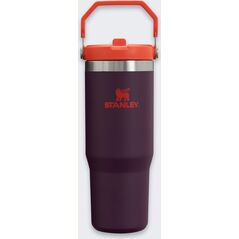 Stanley The IceFlow Flip Straw Tumbler 0 89L violeta