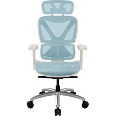 ThunderX3 XTC Ergonomischer Bürostuhl - weiß/blau
