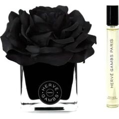 Set Herve Gambs: Ombre Patchouli, Room Spray, 10 ml + Black Couture Flower, Porcelain, Aroma Reed Diffuser, Black Unisex
