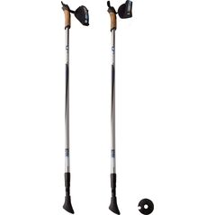 Abbey Kije nordic walking Sticks 21SR_ZRG szare