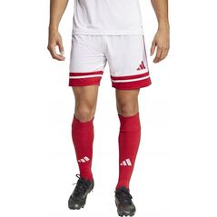 Spodenki adidas SQUADRA 25 JH3404