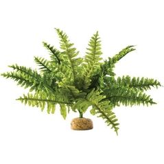 Exo Terra Roślina sztuczna – Paproć Boston Fern, M