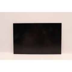 Lenovo DISPLAY Coretronic 14 WUXGA AG