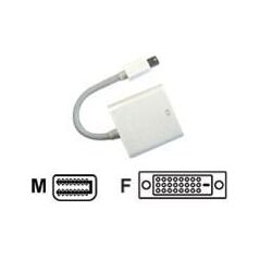Adapter AV JJ Computer DisplayPort Mini - DVI-D biały (AVC 127-0,1M)