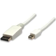 Kabel Techly DisplayPort Mini - DisplayPort 2m biały (304819)