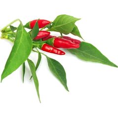 Click And Grow Click & Grow Smart Garden refill Piri Piri Chili Pepper 3pcs