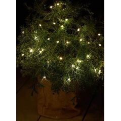 Sirius Knirke 40L, Διαφανές/Πράσινο