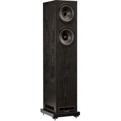 FyneAudio F501E