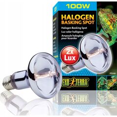 Hagen HAGEN-EXOTERRA HALOGEN SPOT BULB 100W - 000565 1221943 15561221832
