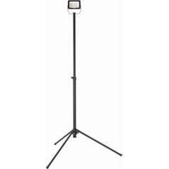 Lampa Warsztatowa 30W Smd Led, 3300Lm, Statyw, Ip65, Dedra L1074-3