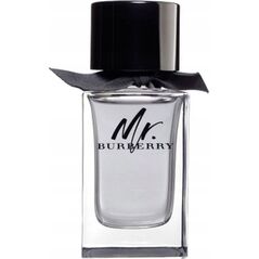 Burberry Mr. Burberry EDT 100 ml