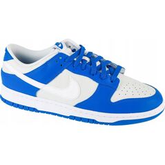 Nike Dunk Low FN3416-001 γκρι 40