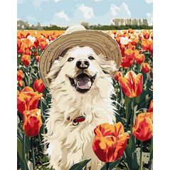 Malowanie po numerach -Szczęśliwy labrador 40x50cm