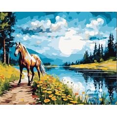 Malowanie po numerach 40x50 Koń