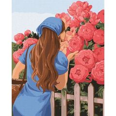 Malowanie po numerach - Pachnące piwonie 40x50cm EDUKAMP