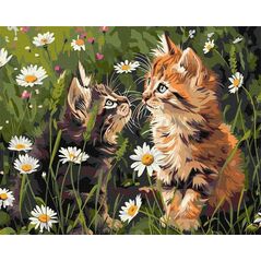 Norimpex Malowanie po numerach - Koty w kwiatach 40x50cm