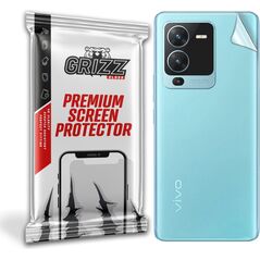 GrizzGlass SatinSkin Vivo V25 Pro 5G