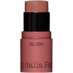 Diego Dalla Palma, All In One, Blush Stick, 44, Biscuit, 4 g For Women