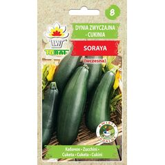 TORAF ΚΟΛΟΚΥΘΑΚΙ SORAYA - SORAYA TOR CUCURBITA PEPO [5 G]