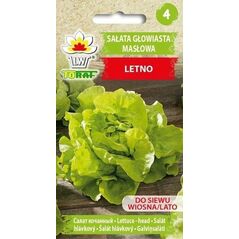TORAF SAŁATA MASŁOWA LENTO LACTUCA SATIVA L. [1 G]