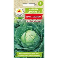 TORAF ΛΑΧΑΝΟ ΛΕΥΚΟ ΣΛΑΒΑ Ζ ΓΚΟΟΥΕΜΠΙΕΒΑ BRASSICA OLERACEA L. [2 G]