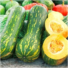 ΚΟΛΟΚΥΘΑΚΙ LUNGA DI NAPOLI CUCURBITA MOSCHATA [4 G] TORAF
