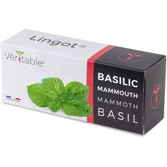 Véritable Lingot Μαμούθ Βασιλικός