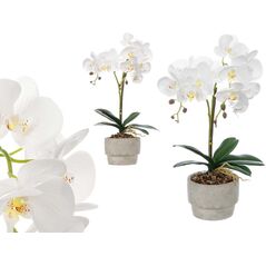 Ibergarden Τεχνητή ορχιδέα σε τσιμεντοδοχείο ORCHI, 49 cm 14195282 8430852596239