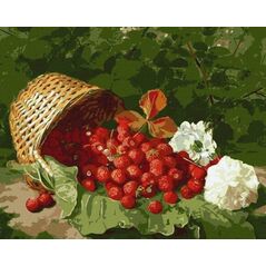 Norimpex Malowanie po numerach - Koszyk z truskawk± 40x50cm