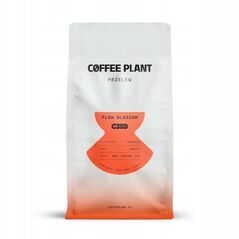 COFFEE PLANT - FLOW Blossom Filter 800g