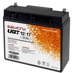 Zasilacz awaryjny UPS Interaktywny Salicru 013BS000004 12 V