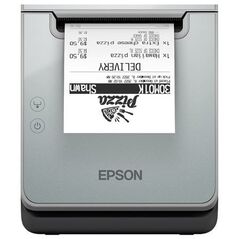 EPSON TM-L100 (103A0): USB