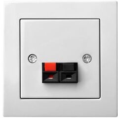 SPEAKER CONNECTION OUTLET ĮGL-001-01