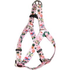 HARNESS STEP&GO SERA M 45-60CM