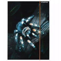 ΦΑΚΕΛΟΣ ΜΕ ΛΑΣΤΙΧΟ Α4 SPIDER STK FOL10/100