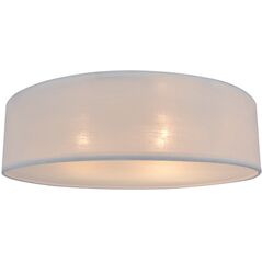 LAMP (CL 12029-D40)