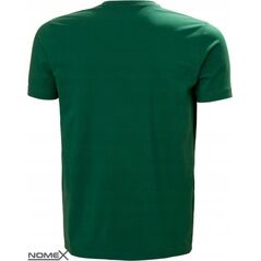 Helly Hansen T-shirt HELLY HANSEN Graphic T-Shirt, green M