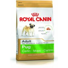 Royal Canin Pug Adult 1.5 kg