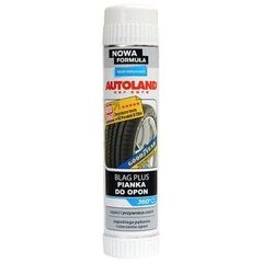 CAR WHEEL CLEANER BLAG PLUS
