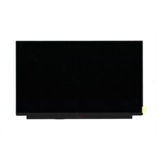 Οθόνη Lenovo LCD 13.3 ιντσών FHD IPS AG300