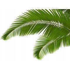 Σετ επίπλων κήπου 3 τεμαχίων Garden Line, γκρι/λευκό